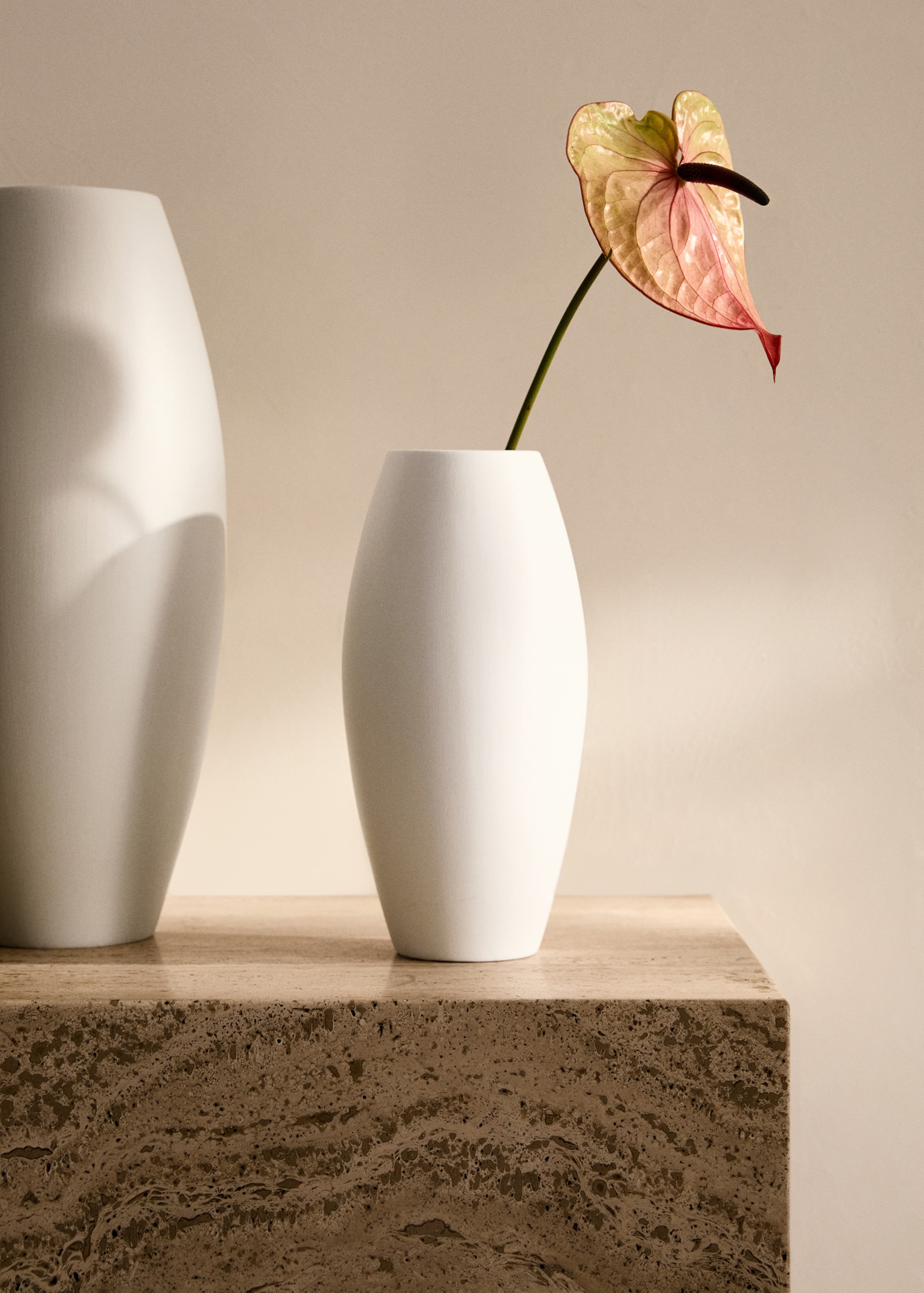 Small oval earthenware vase - General plane